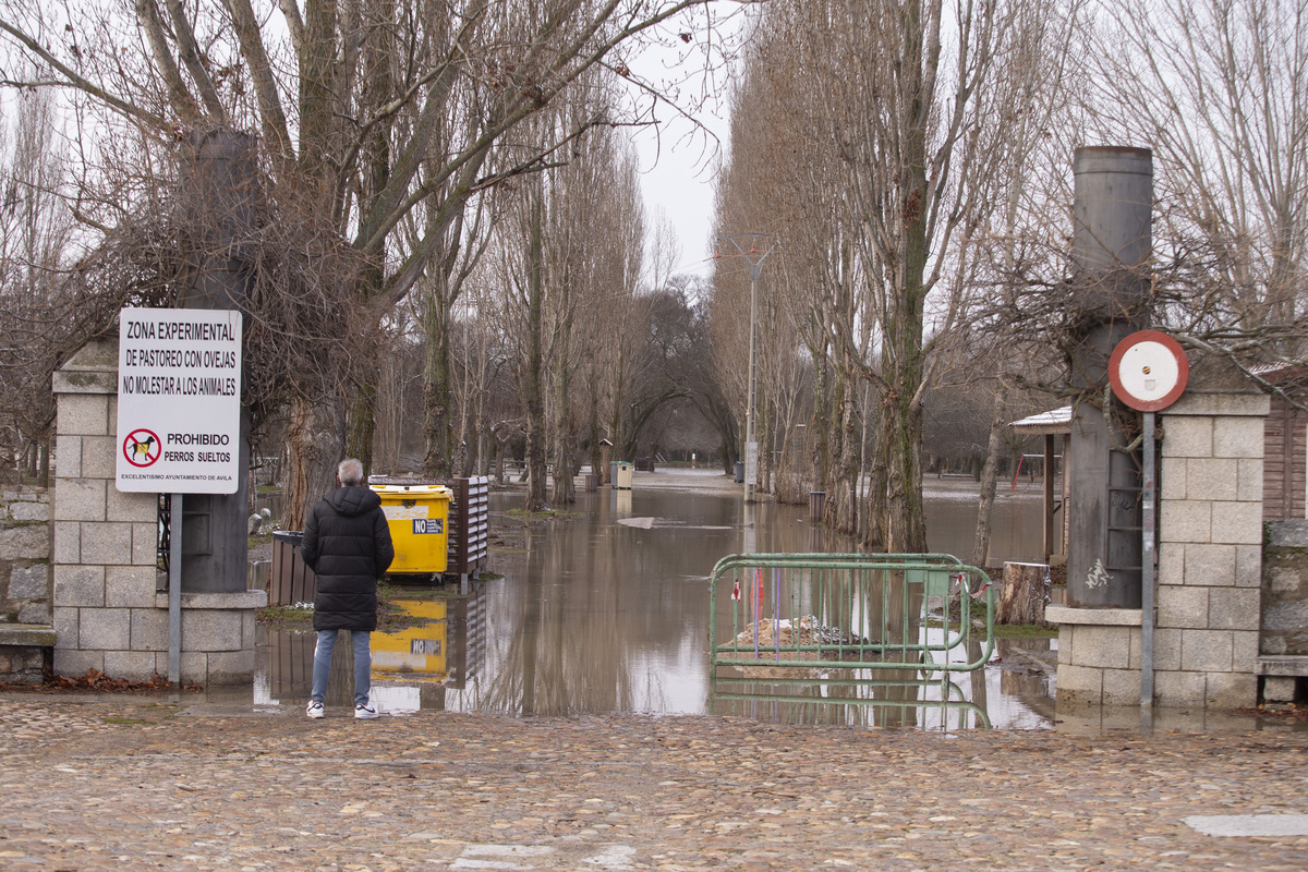 Inundaciones por crecidas río Adaja. Soto inundado por crecida del río Adaja.  / ISABEL GARCÍA