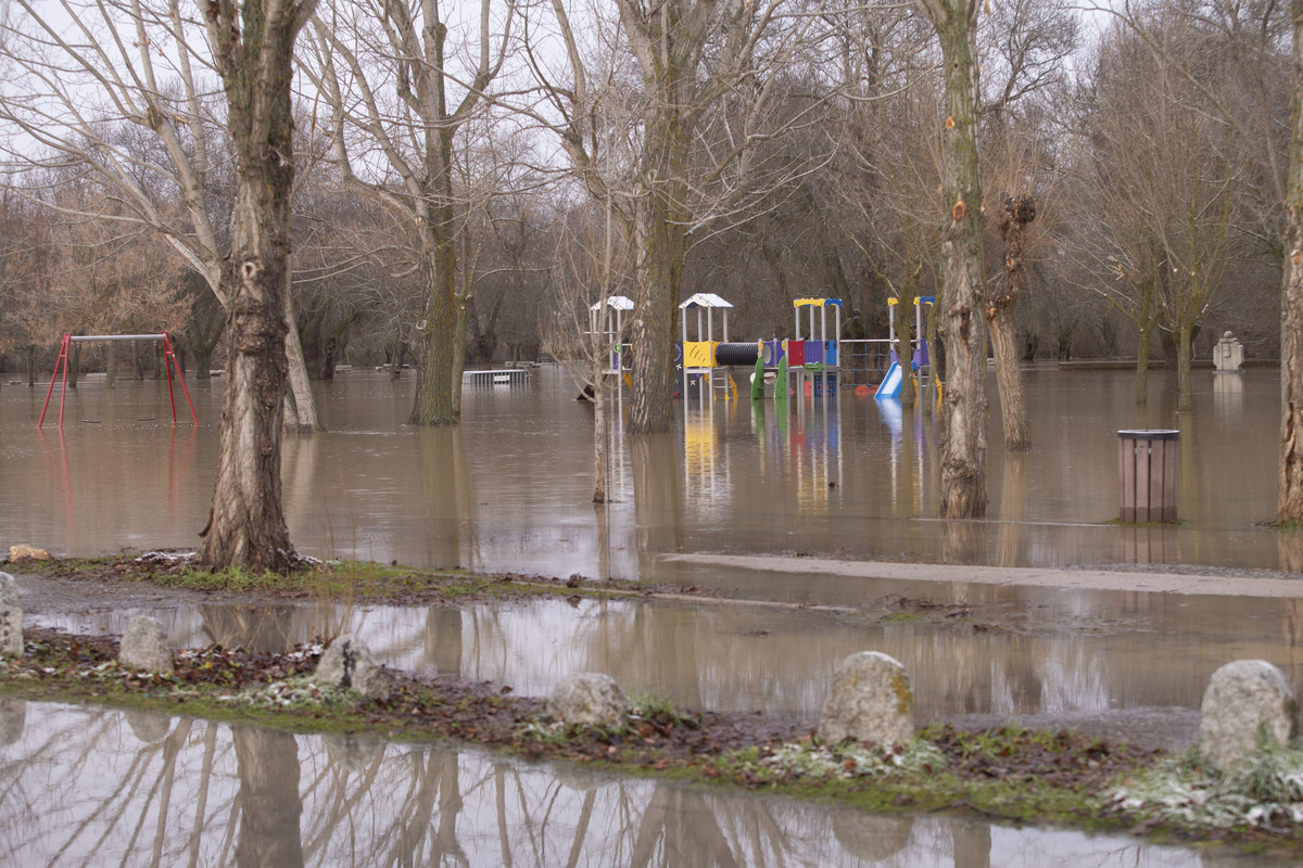 Inundaciones por crecidas río Adaja. Soto inundado por crecida del río Adaja.  / ISABEL GARCÍA