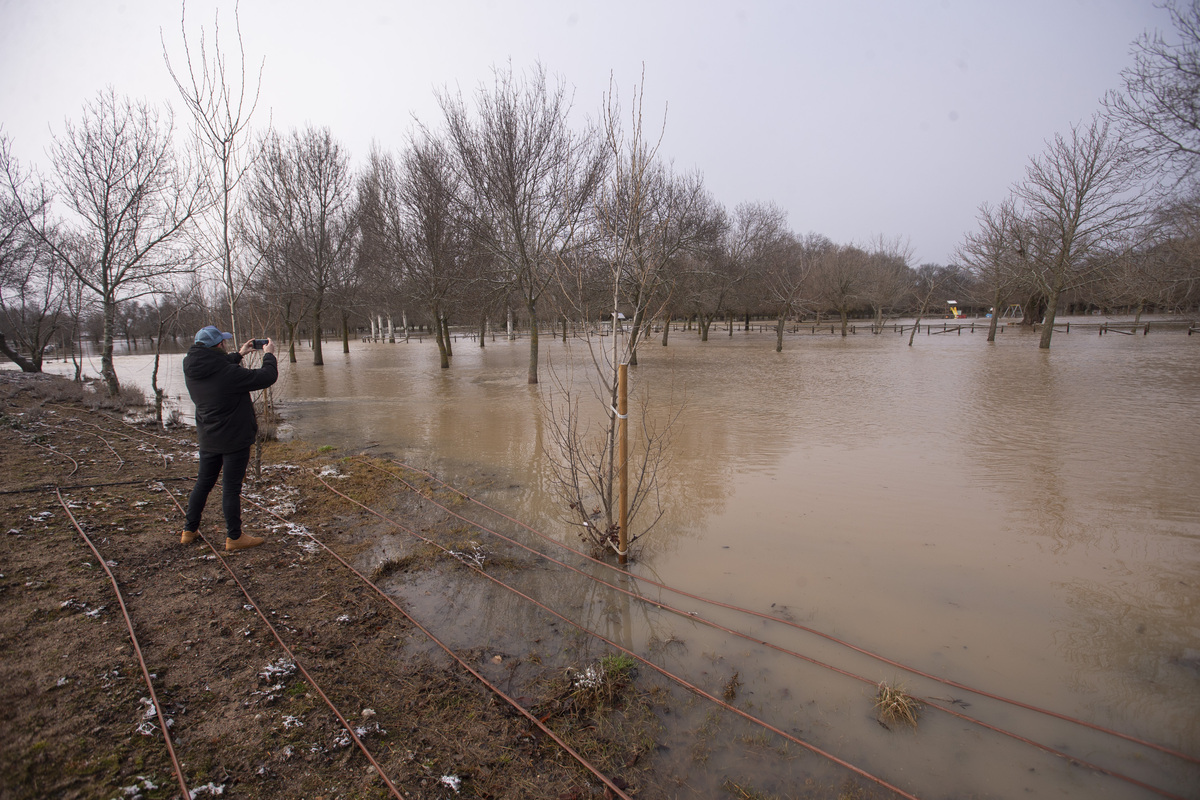 Inundaciones por crecidas río Adaja. Soto inundado por crecida del río Adaja.  / ISABEL GARCÍA