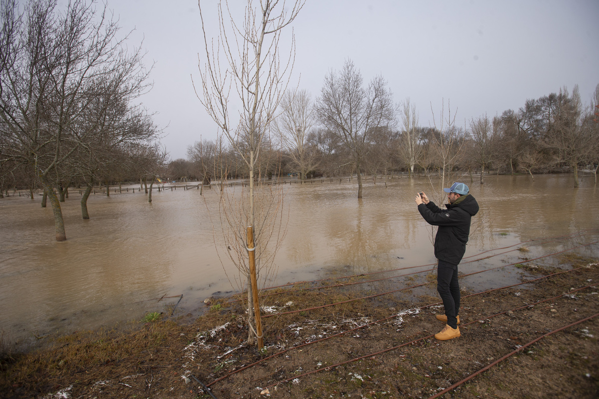 Inundaciones por crecidas río Adaja. Soto inundado por crecida del río Adaja.  / ISABEL GARCÍA