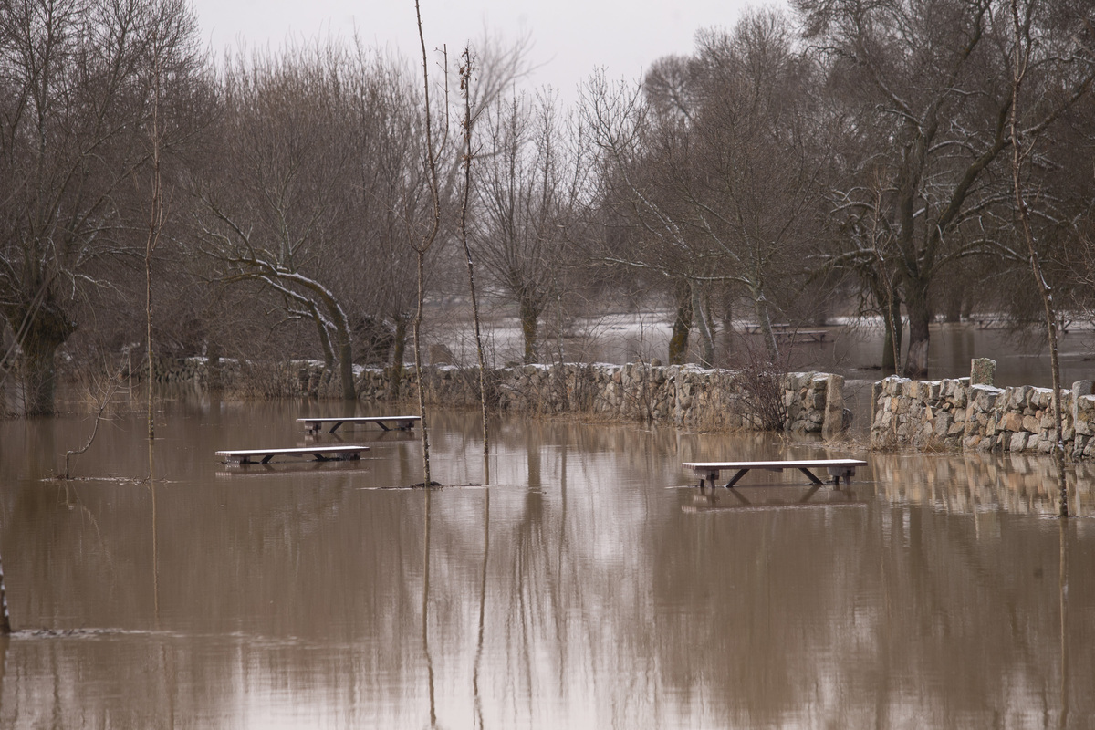 Inundaciones por crecidas río Adaja. Soto inundado por crecida del río Adaja.  / ISABEL GARCÍA