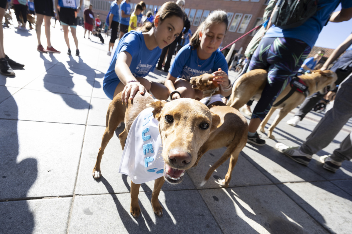 Marcha Solidaria 