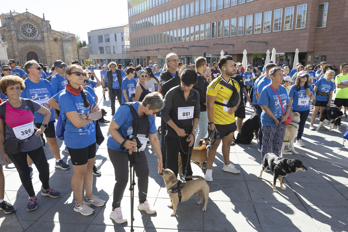 Marcha Solidaria 