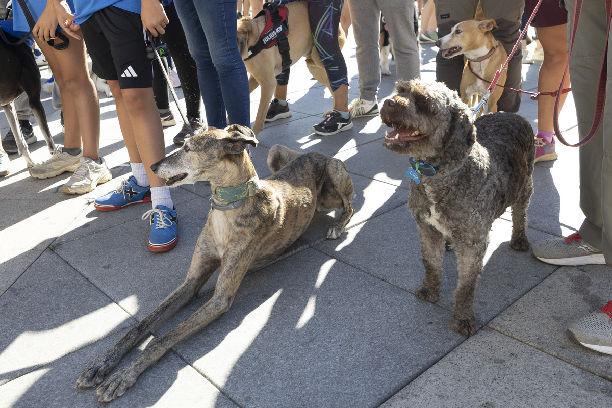 Marcha Solidaria 