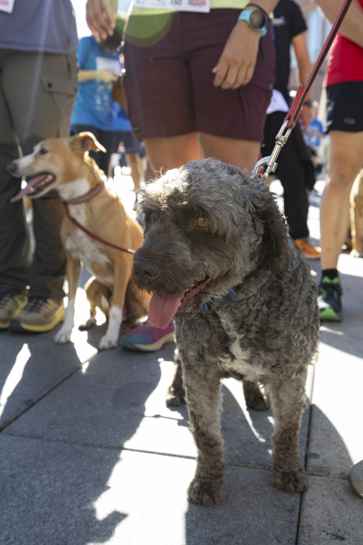 Marcha Solidaria 