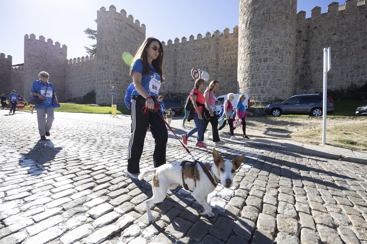 Marcha Solidaria 