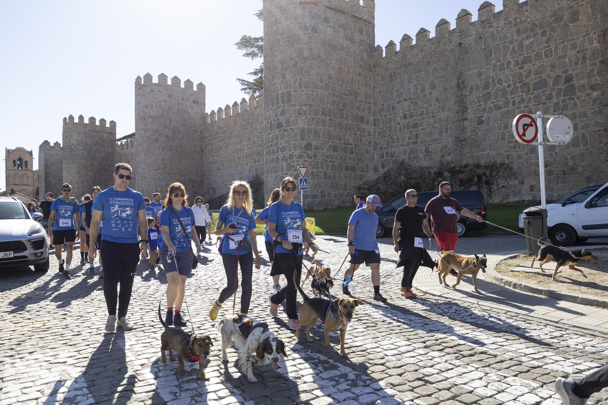 Marcha Solidaria 