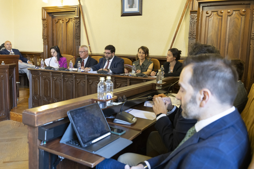 Pleno express en el Ayuntamiento de Ávila