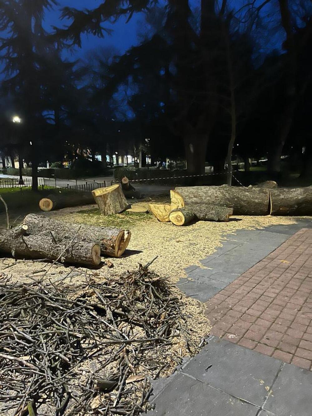 Puesta a punto para afrontar el invierno