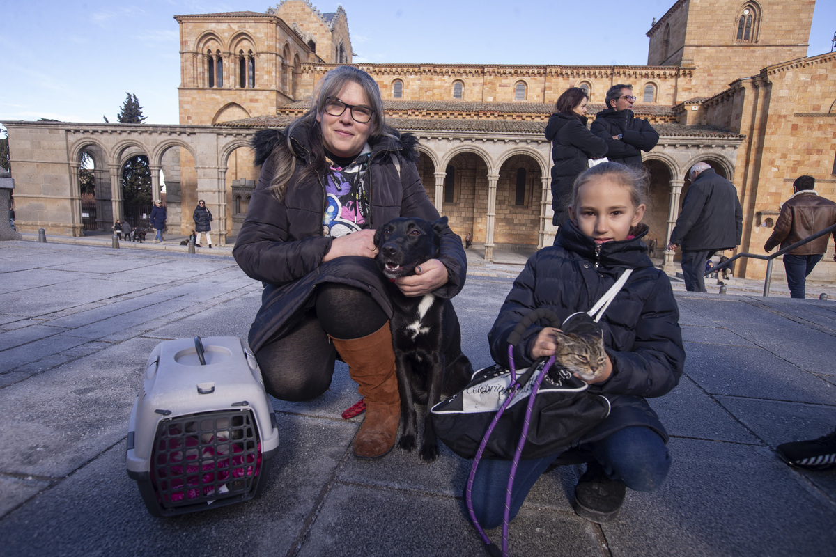 Fiesta de San Antón, fiesta de los animales.  / ISABEL GARCÍA