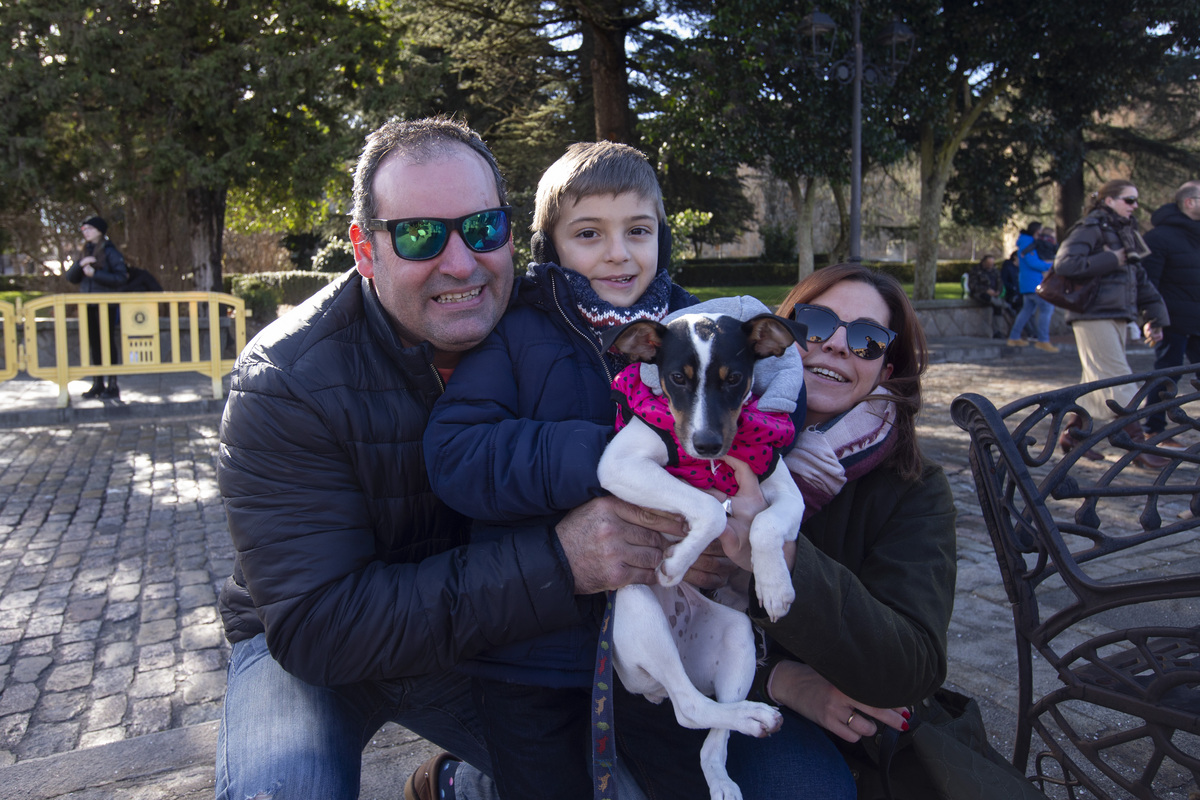 Fiesta de San Antón, fiesta de los animales.  / ISABEL GARCÍA