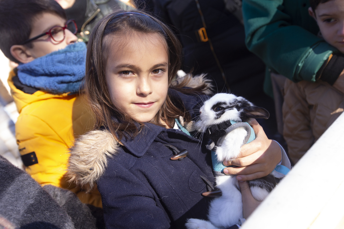 Fiesta de San Antón, fiesta de los animales.  / ISABEL GARCÍA