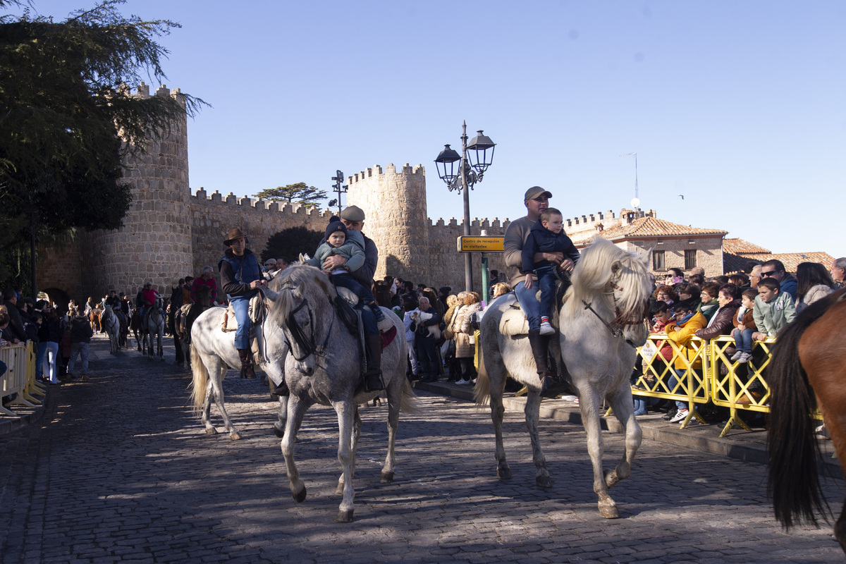 Fiesta de San Antón, fiesta de los animales.  / ISABEL GARCÍA