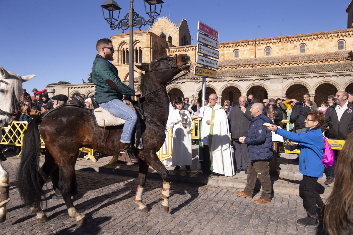 Fiesta de San Antón, fiesta de los animales.  / ISABEL GARCÍA