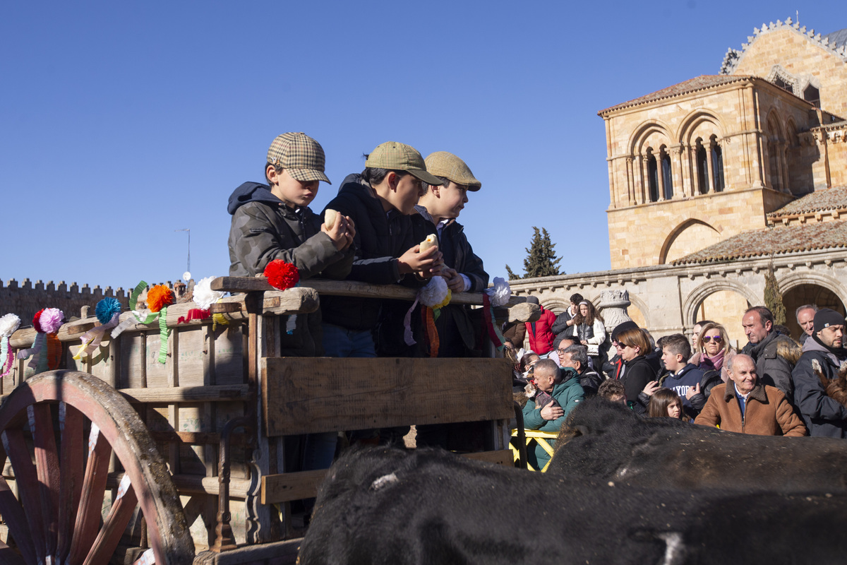 Fiesta de San Antón, fiesta de los animales.  / ISABEL GARCÍA