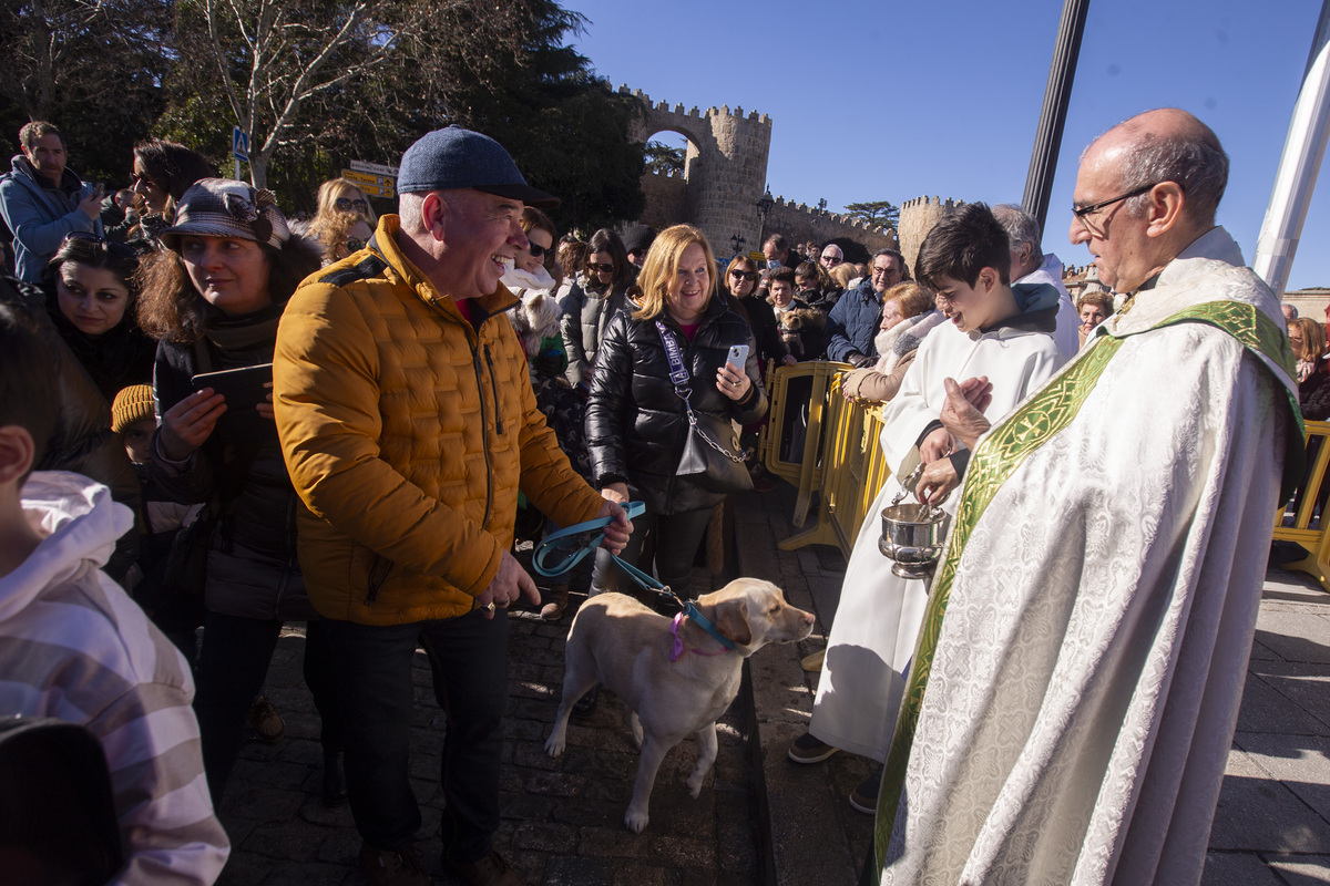 Fiesta de San Antón, fiesta de los animales.  / ISABEL GARCÍA