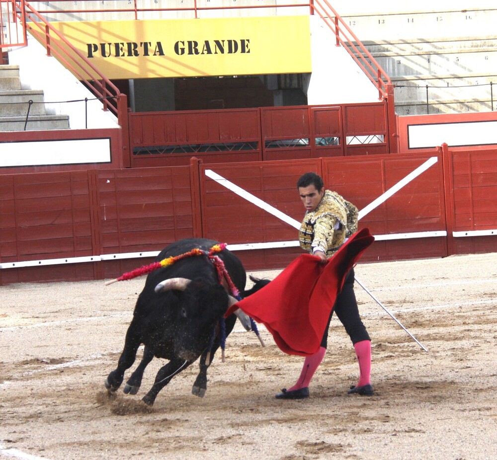 Importante festejo dentro del Circuito de Novilladas