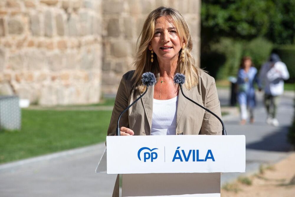 El PP exige respuestas por los retrasos entre Ávila y Madrid