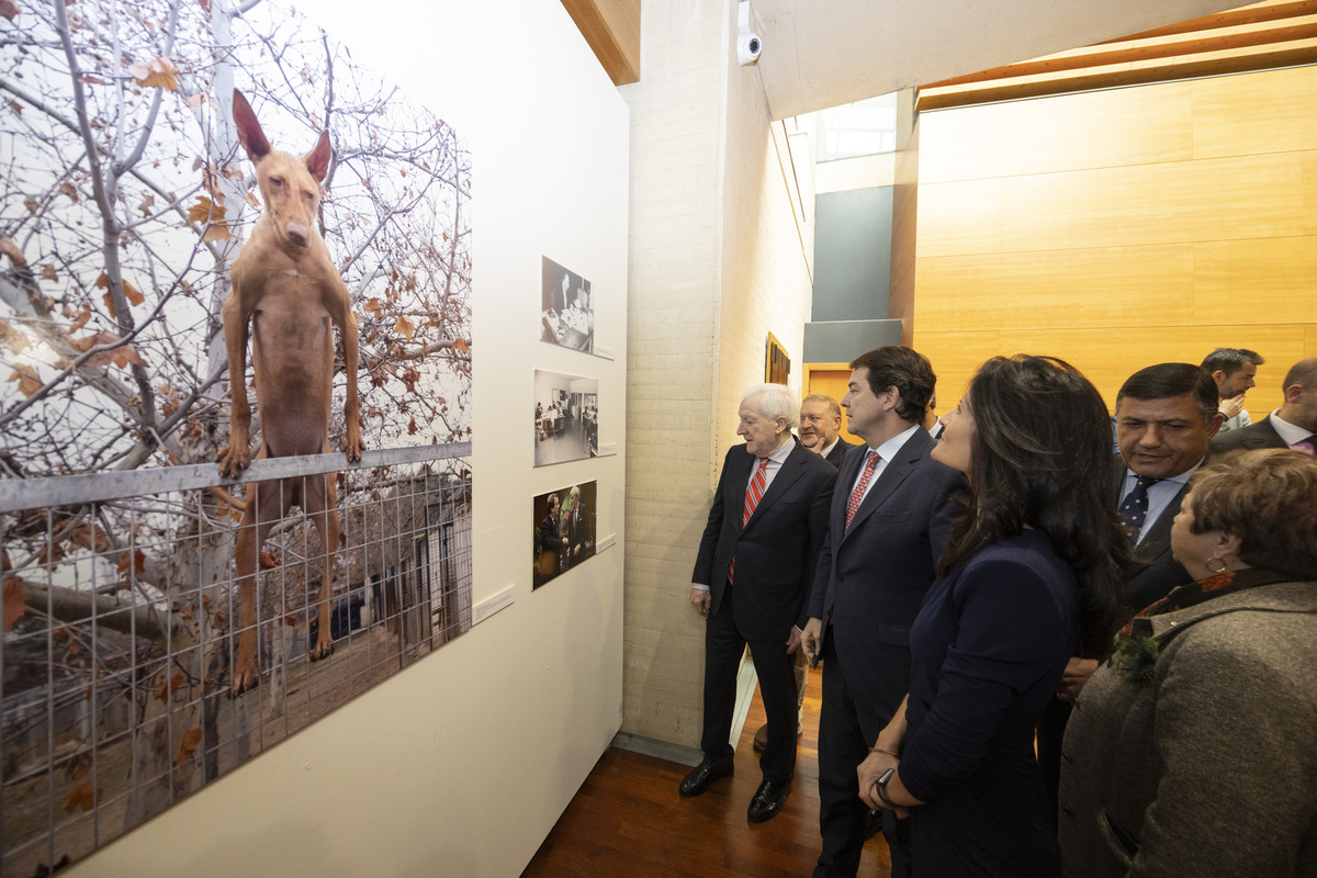 El presidente de la Junta de Castilla y
León, Alfonso Fernández Mañueco,
inaugura la Exposición ‘Crónica Gráfica.
Un año de Diario de Ávila en imágenes’  / ISABEL GARCÍA