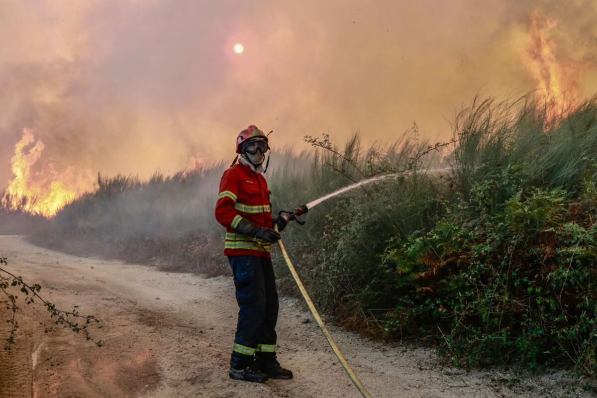 Forest fire in Portugal  / MIGUEL PEREIRA DA SILVA