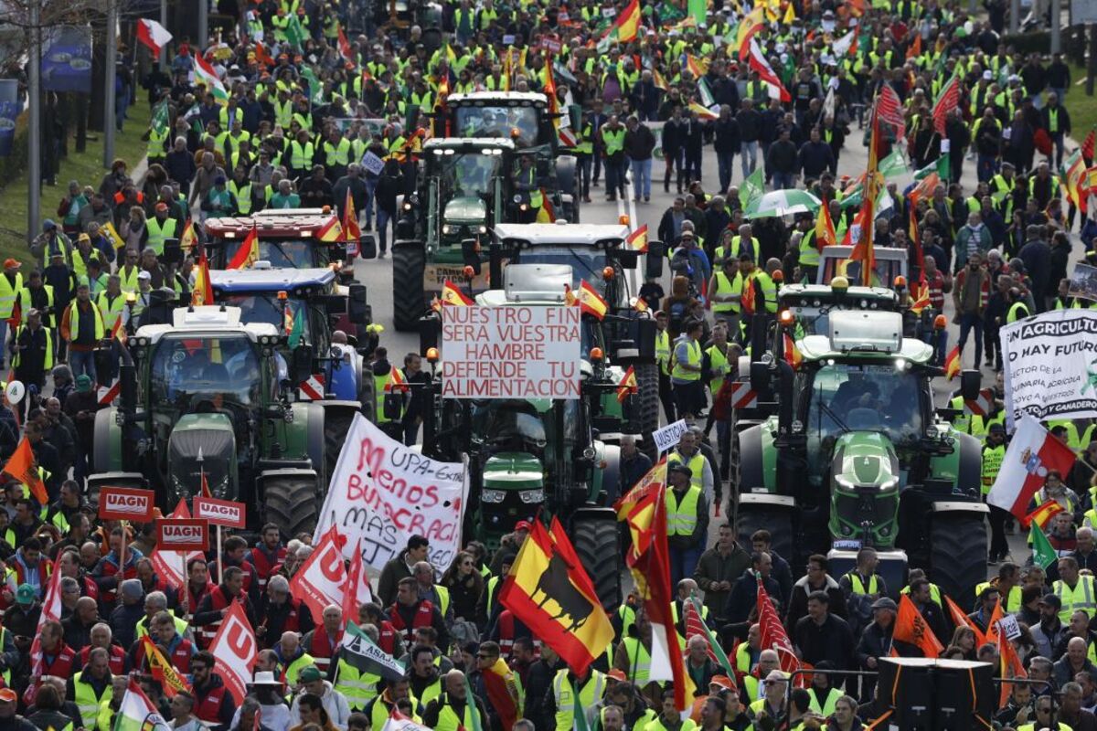 Marcha de agricultores en Madrid  / Diario de Ávila