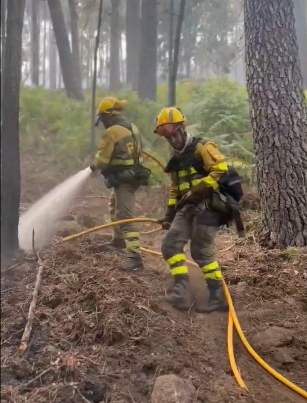 El incendio de El Hornillo baja a nivel 0 después de dos días