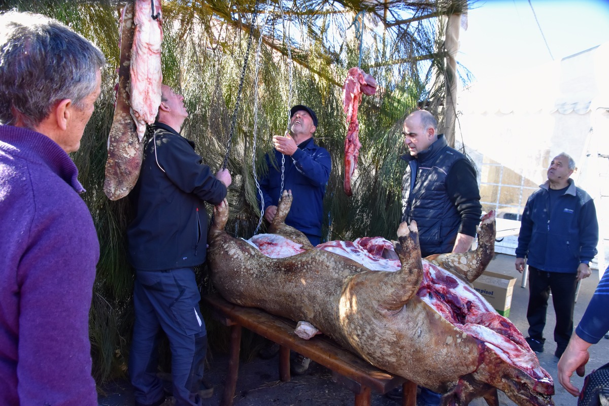 Diferentes instantes de la celebración X Matanza Tradicional de Martiherrero