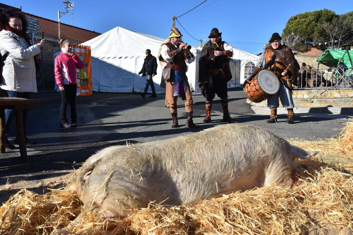 Diferentes instantes de la celebración X Matanza Tradicional de Martiherrero  / GONZALO GONZÁLEZ DE VEGA