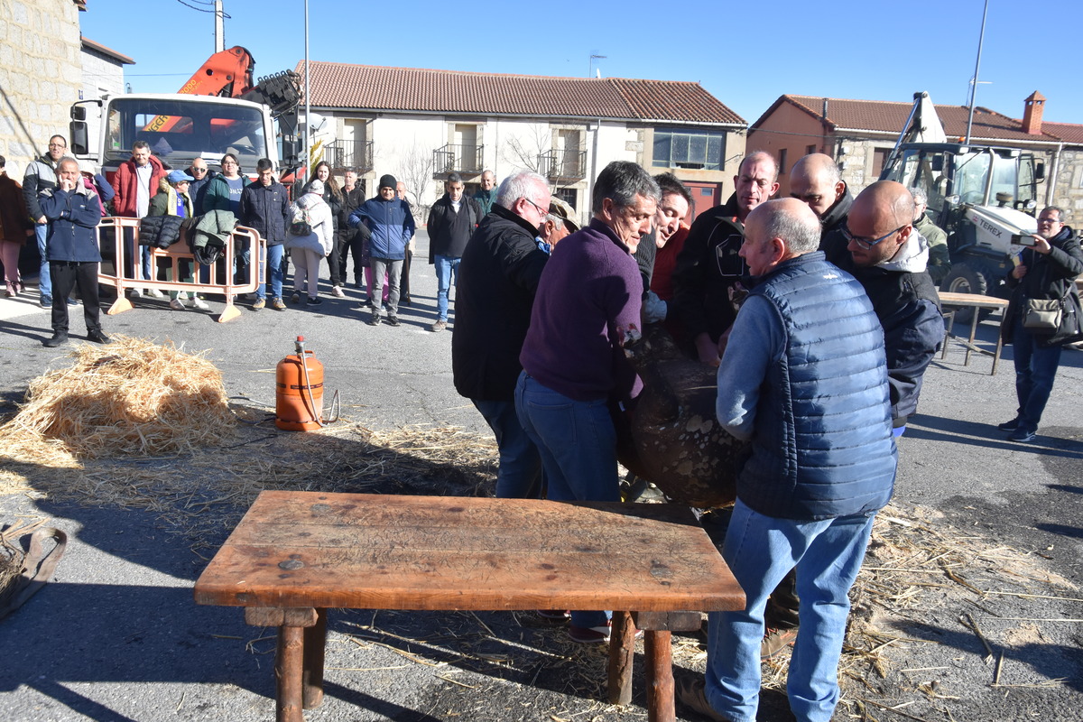 Diferentes instantes de la celebración X Matanza Tradicional de Martiherrero  / GONZALO GONZÁLEZ DE VEGA