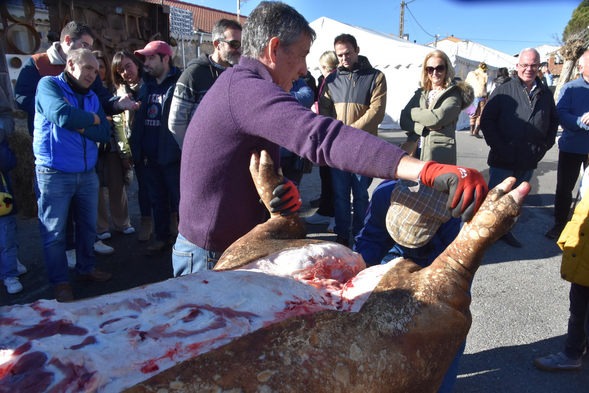 Diferentes instantes de la celebración X Matanza Tradicional de Martiherrero  / GONZALO GONZÁLEZ DE VEGA