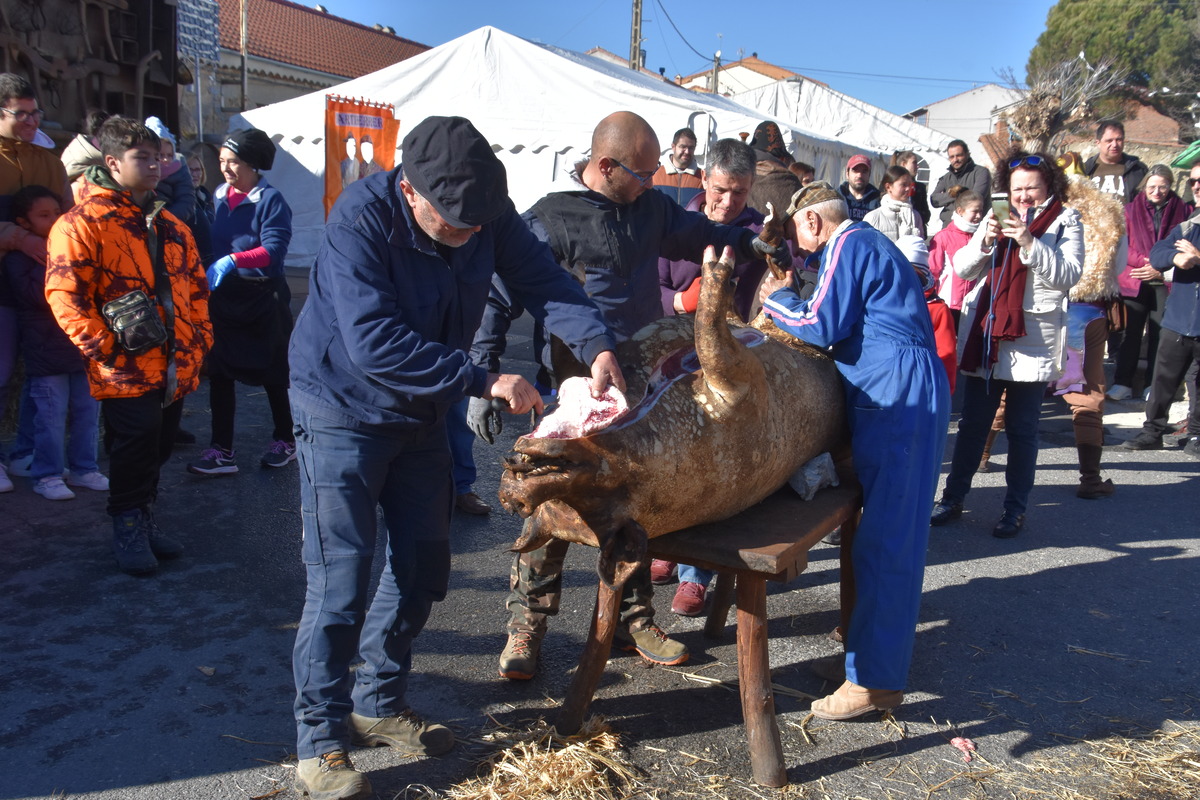 Diferentes instantes de la celebración X Matanza Tradicional de Martiherrero  / GONZALO GONZÁLEZ DE VEGA