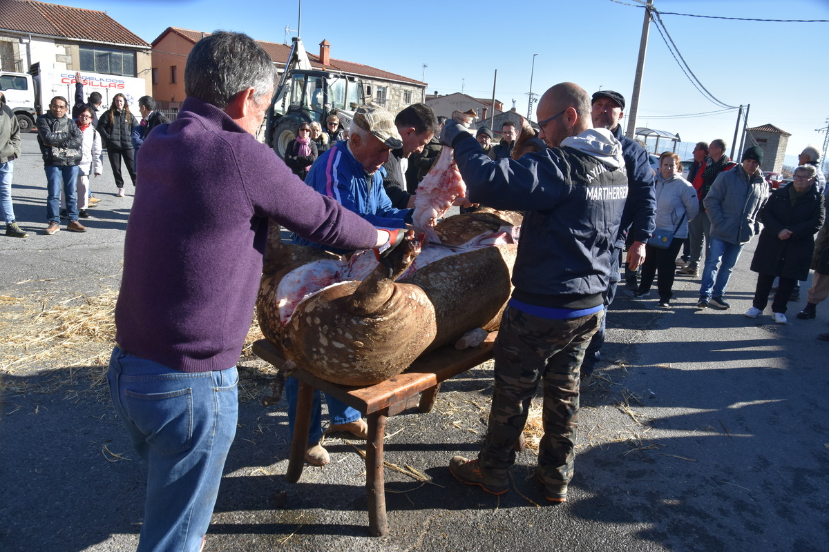 Diferentes instantes de la celebración X Matanza Tradicional de Martiherrero  / GONZALO GONZÁLEZ DE VEGA