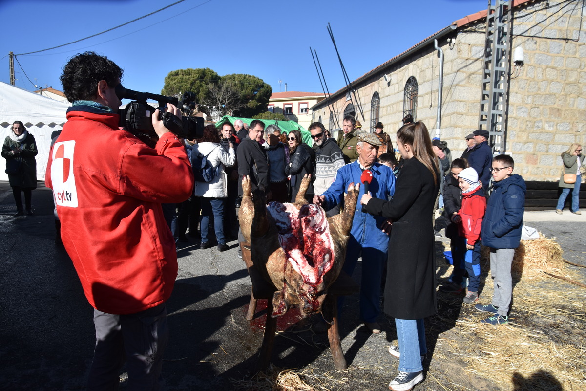 Diferentes instantes de la celebración X Matanza Tradicional de Martiherrero  / GONZALO GONZÁLEZ DE VEGA