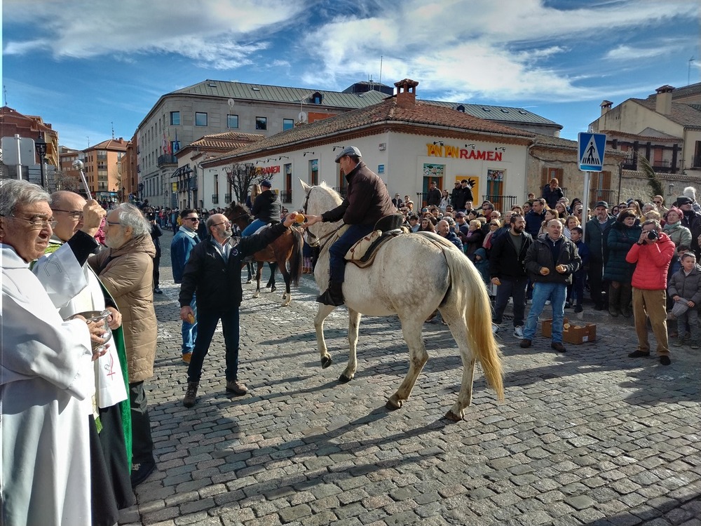 Mascotas y caballos bajo el amparo de San Antón