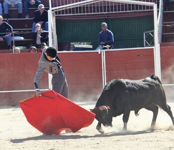 El XV Bolsín de Candeleda dará comienzo el próximo 9 de marzo