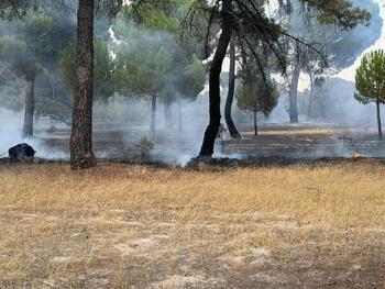 Baja a nivel 1 el fuego de Cabizuela