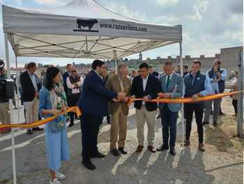 La feria de avileño roza los cien ejemplares de gran calidad