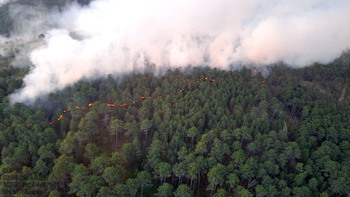 Bajo control el incendio forestal de El Hornillo (Ávila)