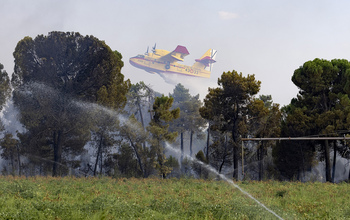 El fuego de Cabizuela, que llegó al nivel 2, arrasa 100 ha.