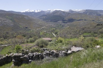 Zapardiel de la Ribera tendra un centro gastronómico rural