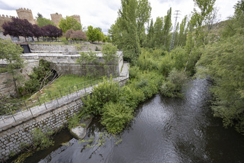 Nuevo avance en el plan de sostenibilidad ‘Una muralla verde’