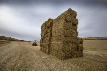 Agricultura recibe más de 6.400 solicitudes de la PAC de Ávila