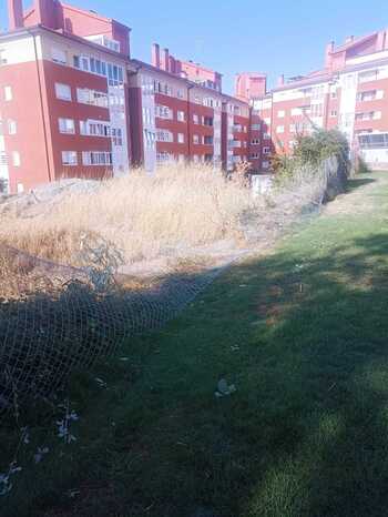 Vandalismo en el parque de Los Patos