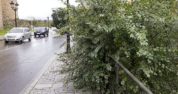 Dentro de poco habrá que caminar por la calzada