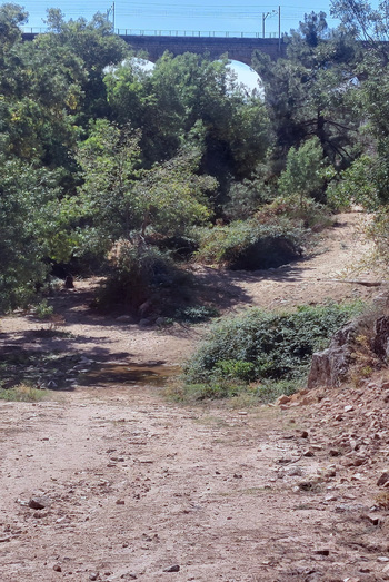 El arreglo de desagües, tras el cierre del caudal ecológico