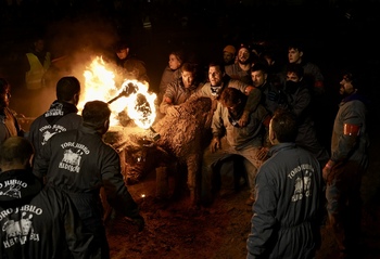 La Justicia suspende el Toro Jubilo de Medinaceli