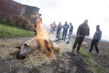 Gran fiesta familiar de la matanza en Gotarrendura