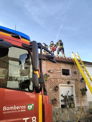 Incendio sin heridos en Flores de Ávila