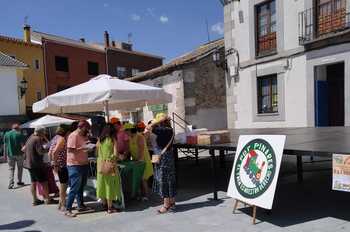 La Plataforma del Ferrocarril de Pinares reivindica mejoras