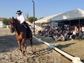 De pura raza española